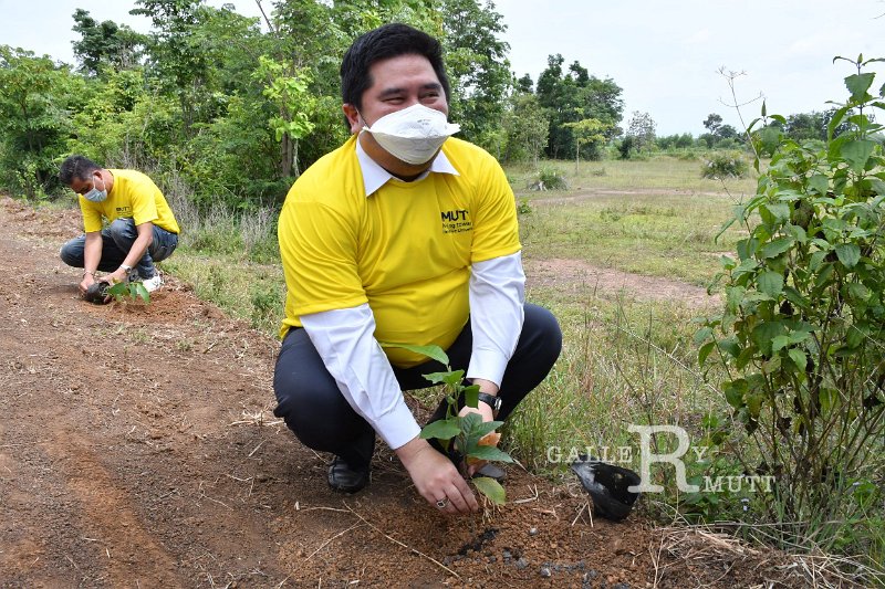20210526-Tree planting dayt-087.JPG